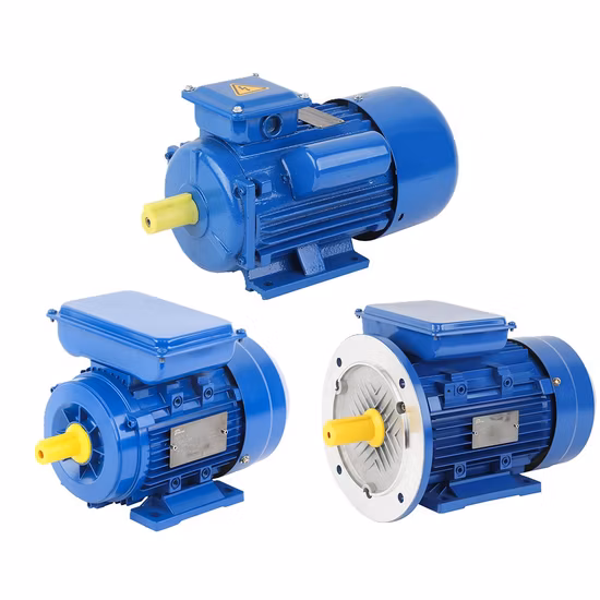 1HP, 2HP, 3HP, 4HP, 5.5HP, 7.5HP, 10HP, 15HP, 20HP, 25HP, 30HP, 40HP, 50HP, 60HP, 75HP, 100HP Three Phase Induction AC Asynchronous Electric Motor